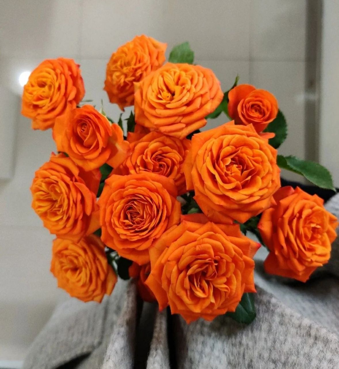 识花系列 ‖一次认识9款多头玫瑰   巧克力泡泡 67经典的复古色系