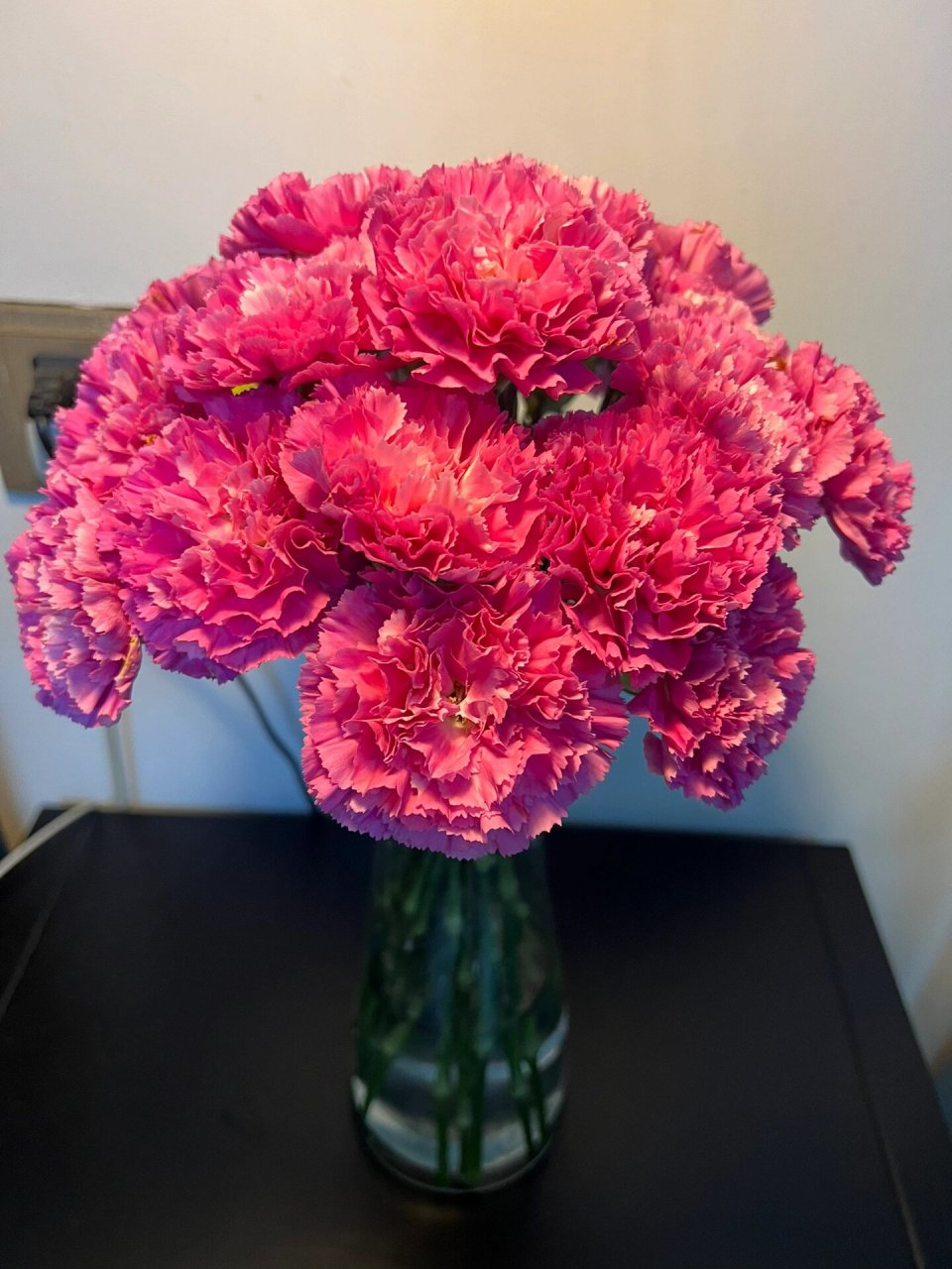 小桃红康乃馨 夏天因为很多鲜花花期变短,选择试试"花坚强"康乃馨.