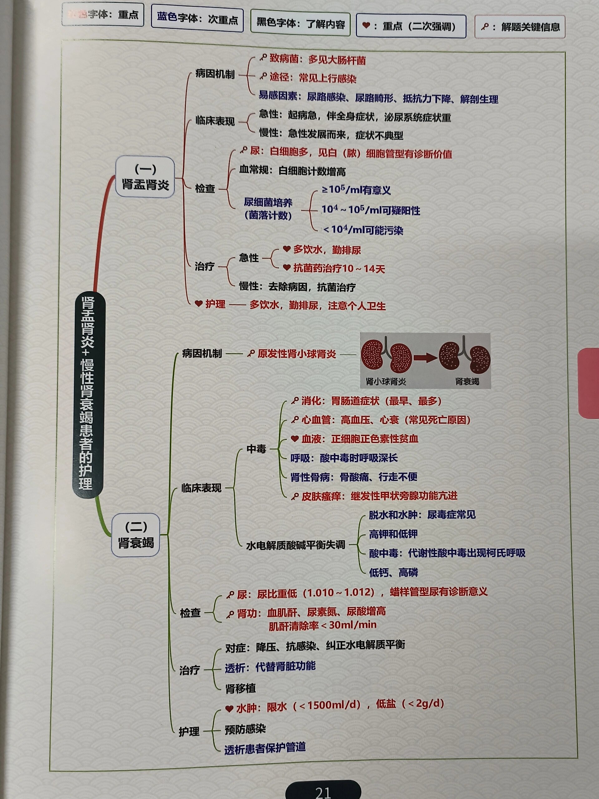 护理研究课程思维导图图片