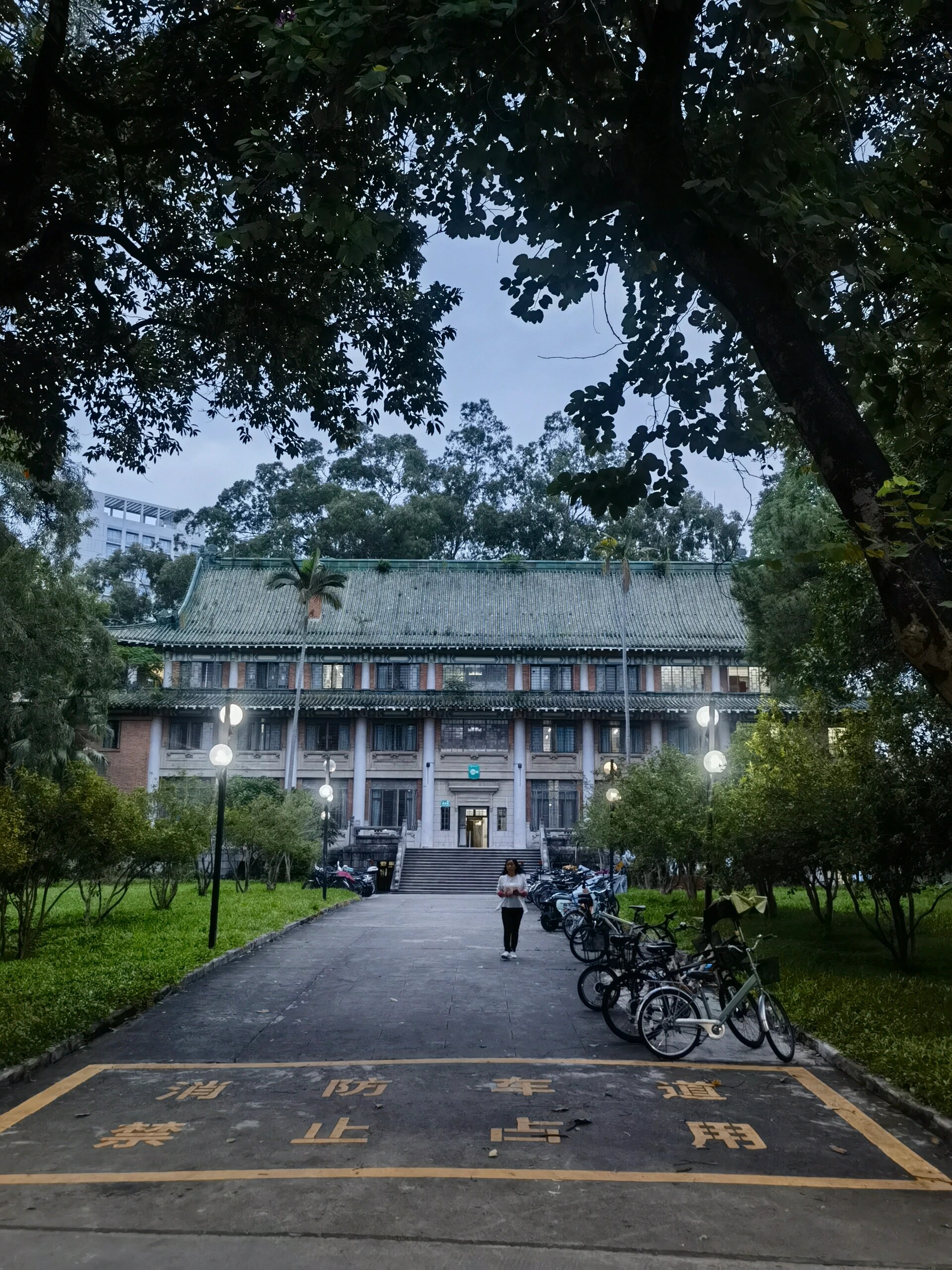 中山大学(中山大学强基计划新设药学)