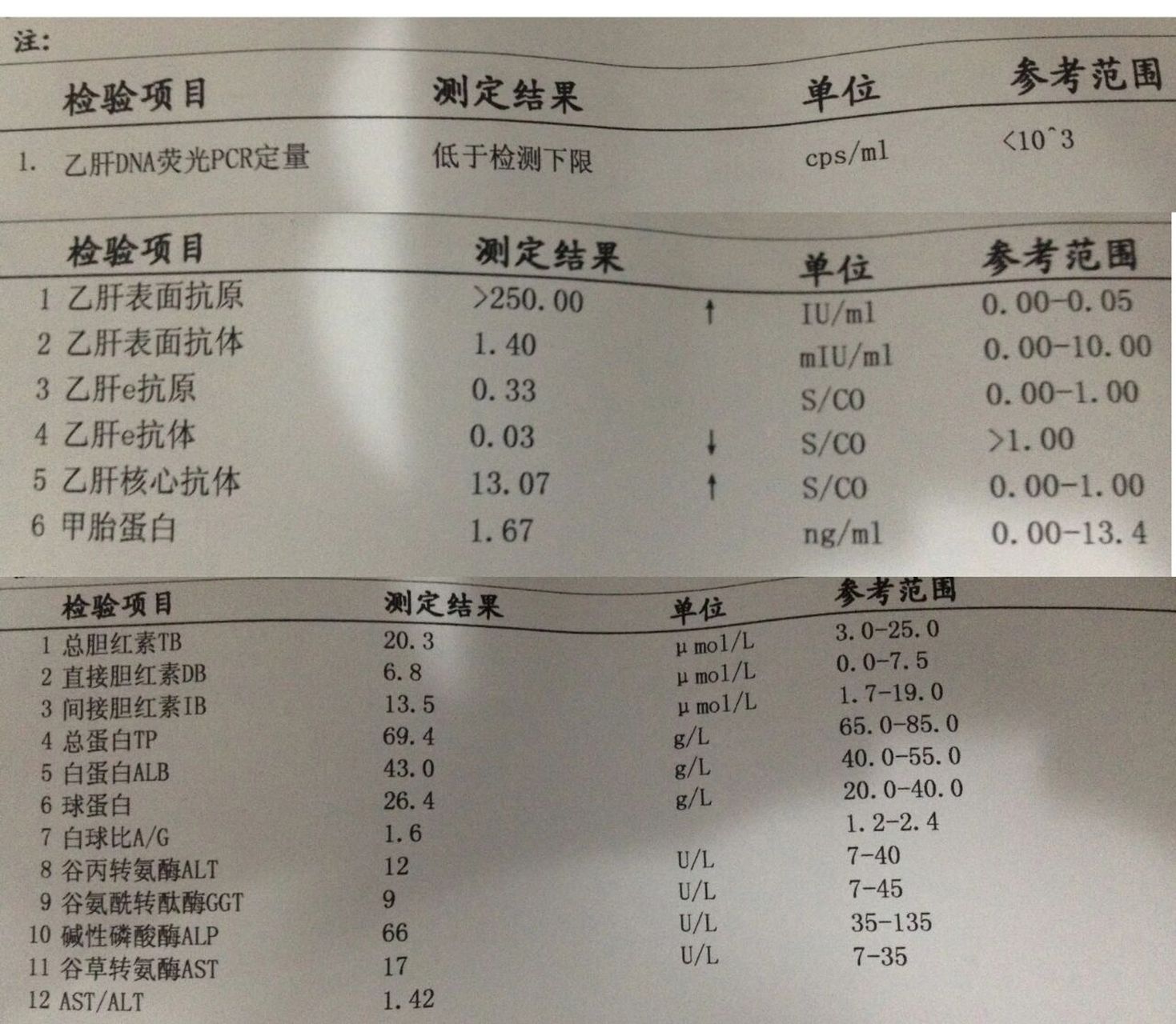 乙肝没有抗体的图片图片