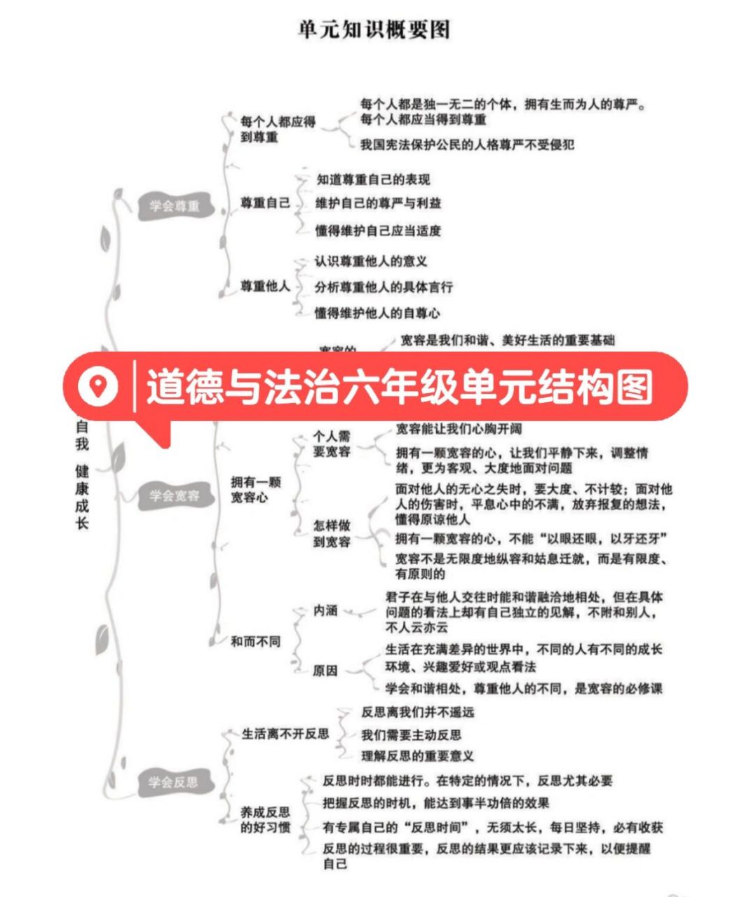 思维导图# #大单元整体教学# #道德与法治# #小学道德与法治# #初中