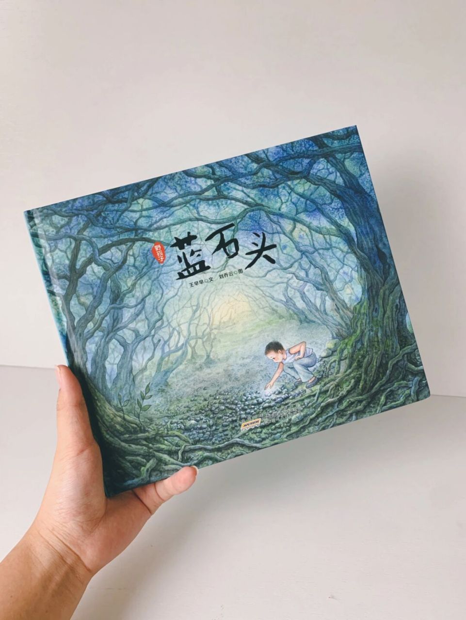 253～国内唯美绘本小众61野孩子之蓝石头 绘本名:蓝石头 适合年龄:3