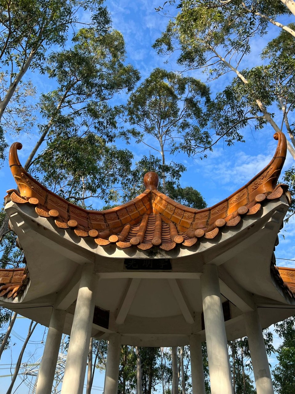 东莞徒步 | 常平旗岭森林公园有点东西7215 广东的秋天感觉真的要