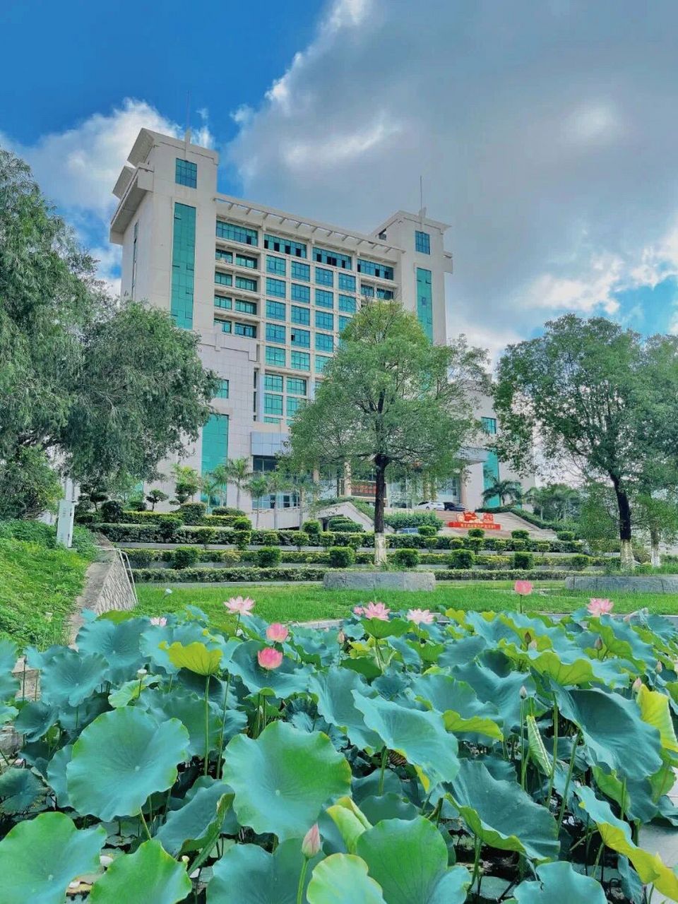 闽南理工学院99996995 关于闽南理工个人看法 关于学校教学