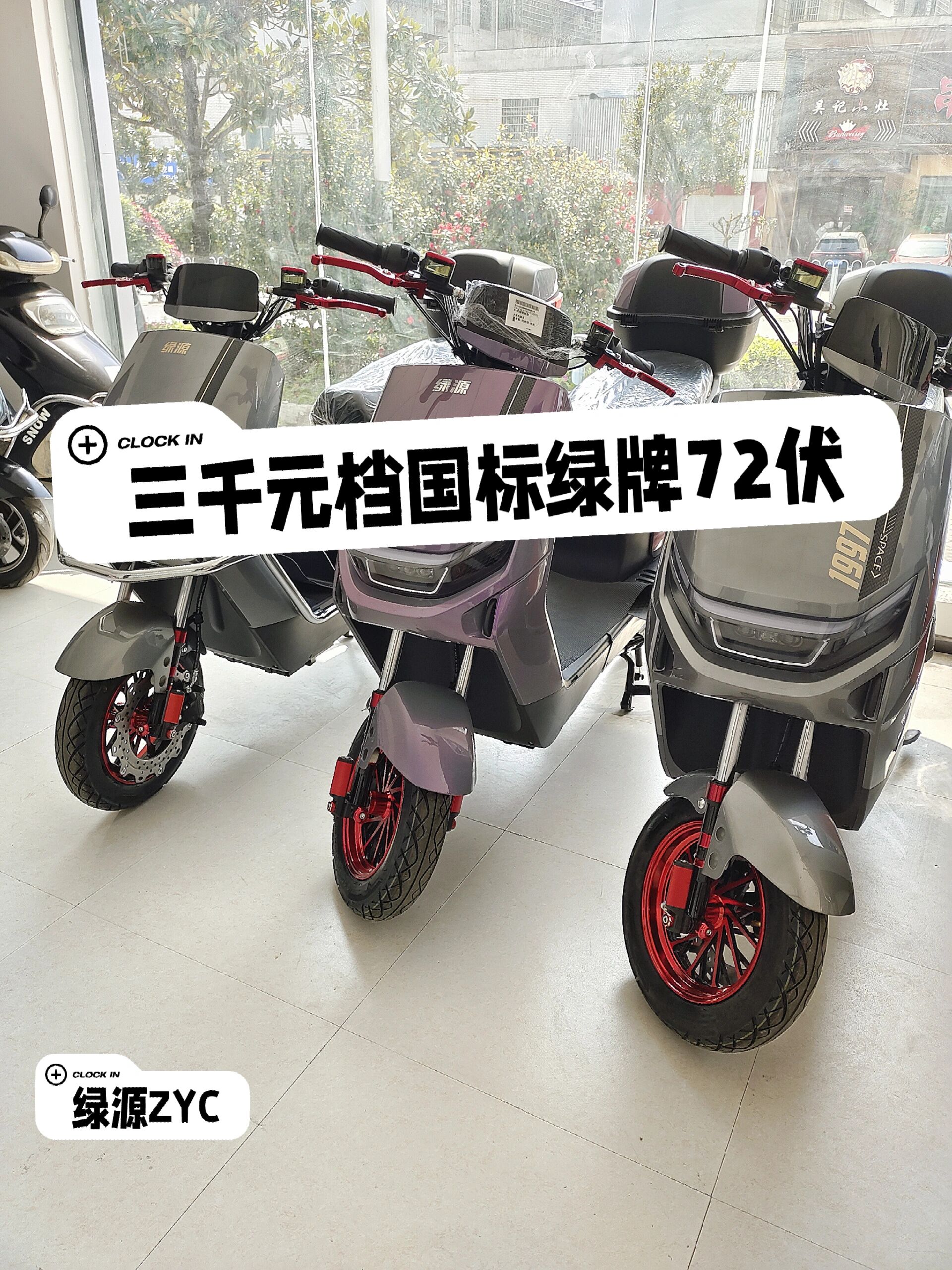 绿源zyc72伏绿牌国标电动车 无需驾照可上绿牌!
