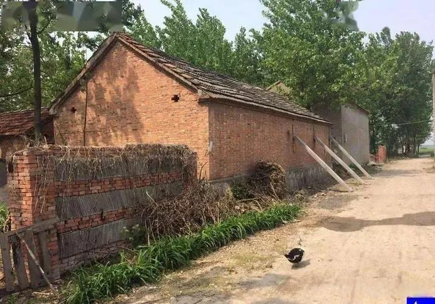 据悉,许昌市持续推进农村危房改造工作,切实保障农村住房安全.