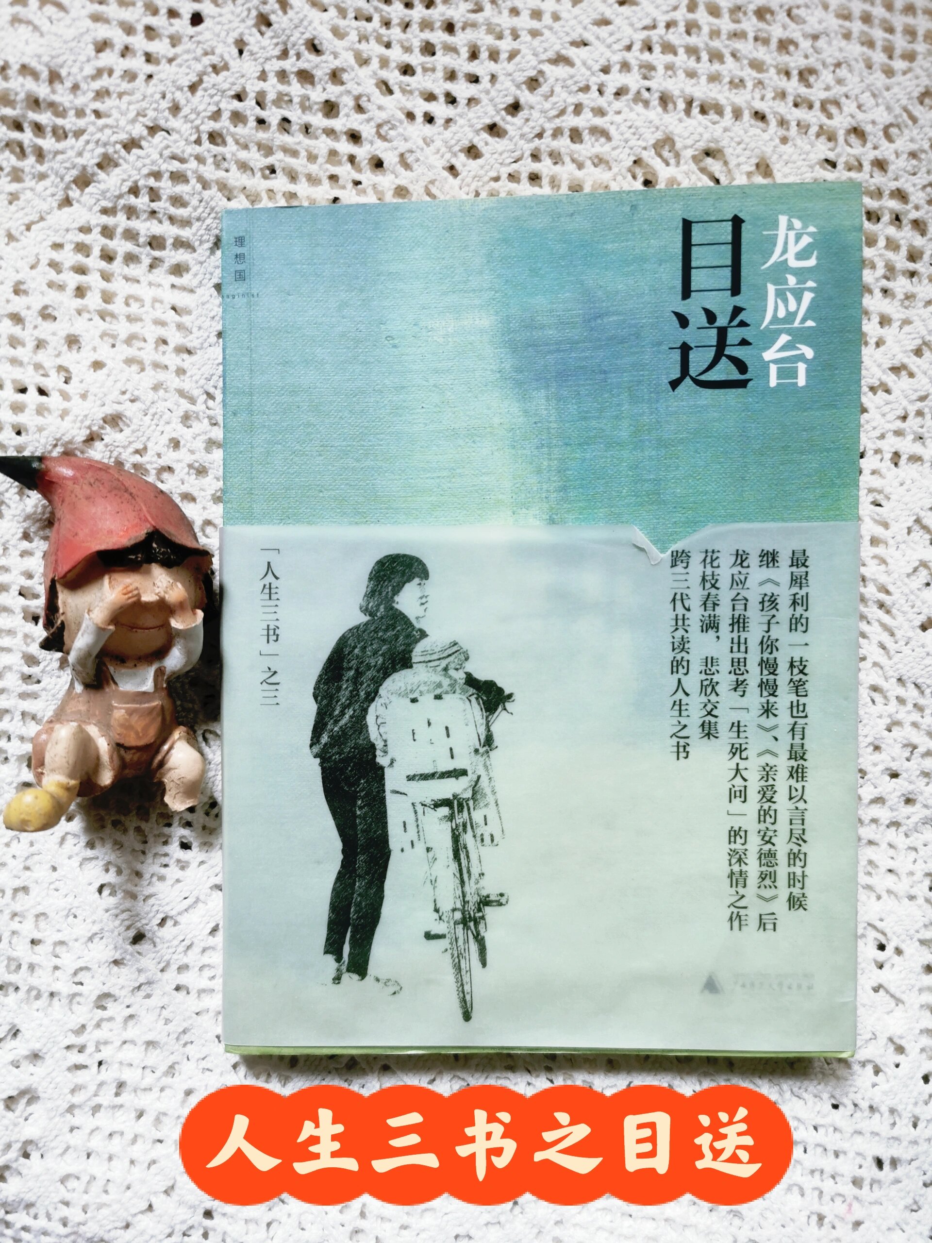 龙应台