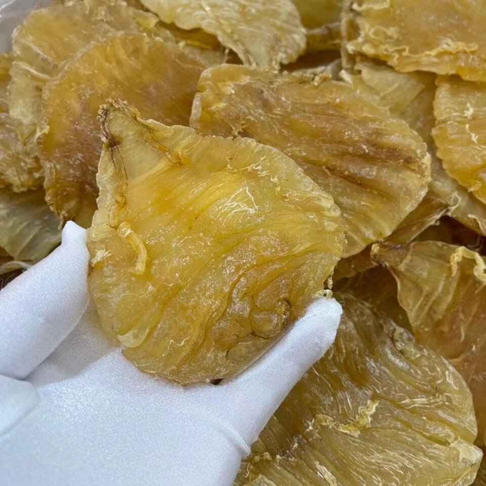 孟加拉双芽鳘鱼胶7