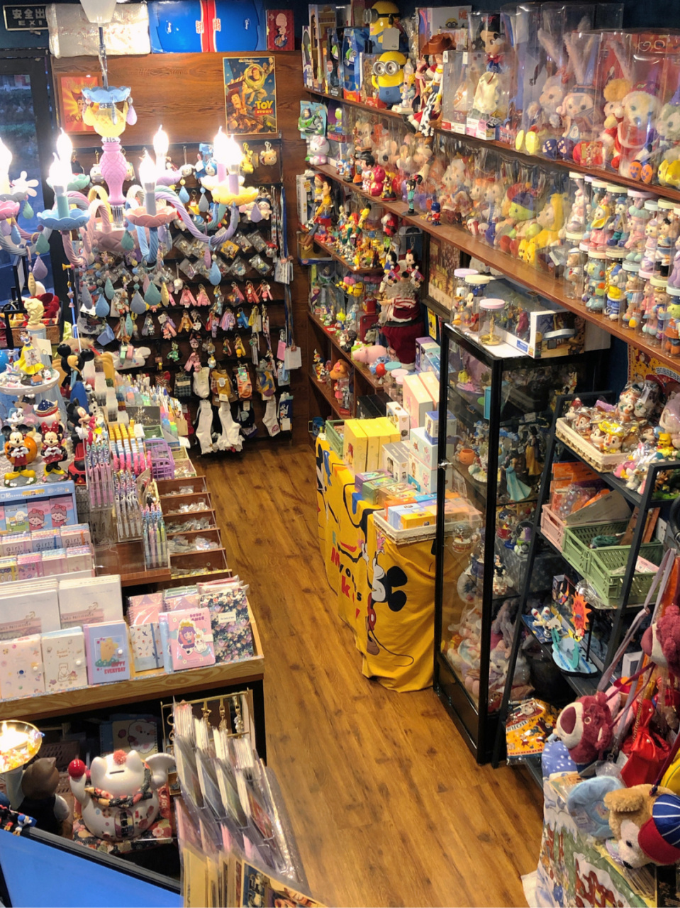 宝藏玩具店99属于迪斯尼女孩的95"古灵金堡" 差点