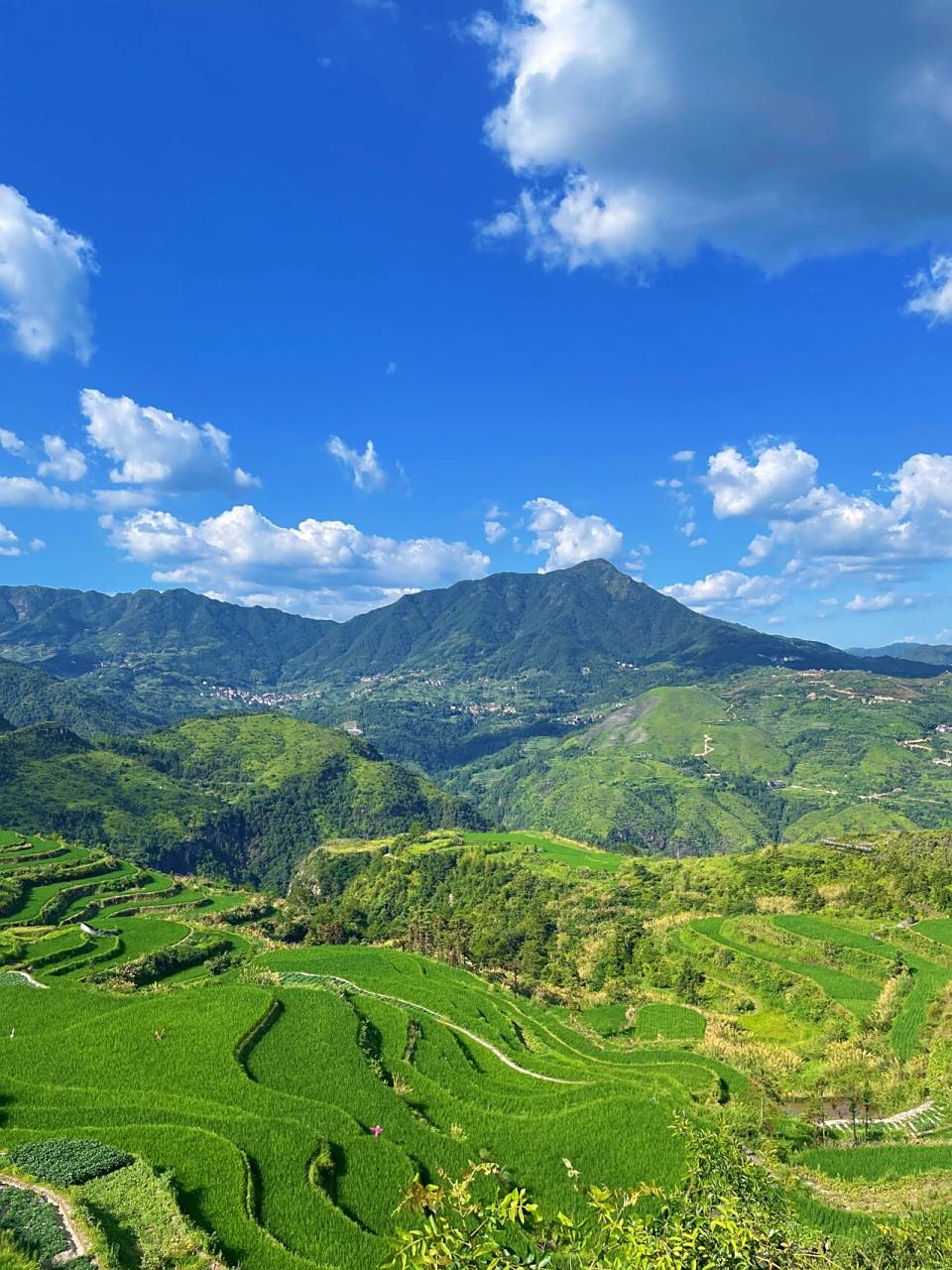 丽水青田县小舟山绝美!