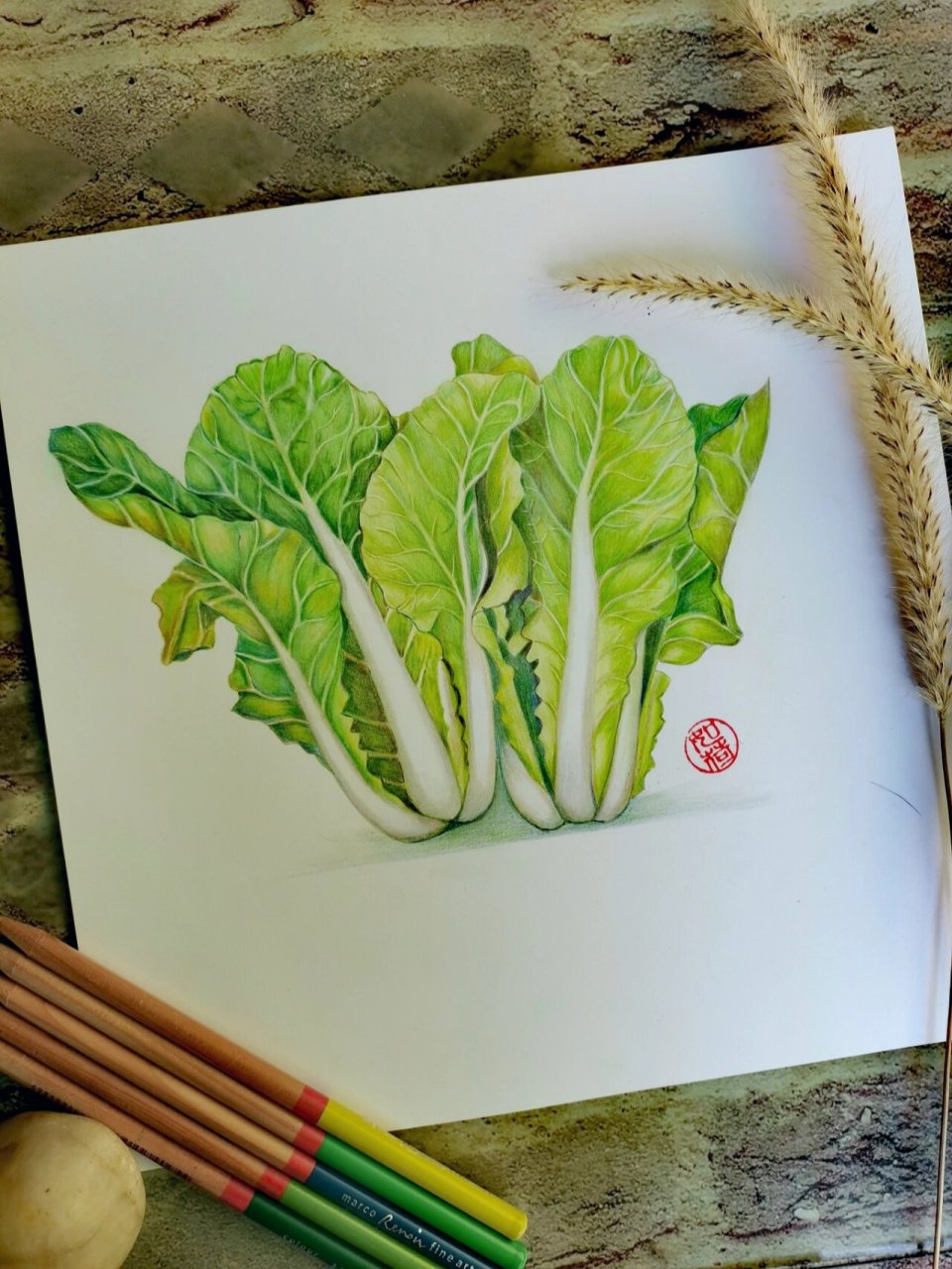 彩铅原创手绘:小白菜,绿色控的爱 这幅画素材来源"多多买菜"的蔬菜