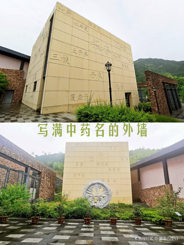 大盘山博物馆,与珍奇生物共呼吸