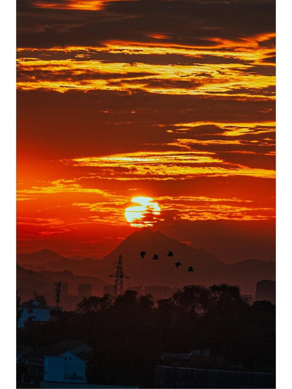 日落95日出93合集|收集人间美好治愈心灵 日出而作,日落而息 收集