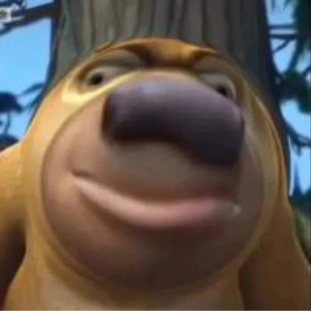 搞笑熊大熊二头像