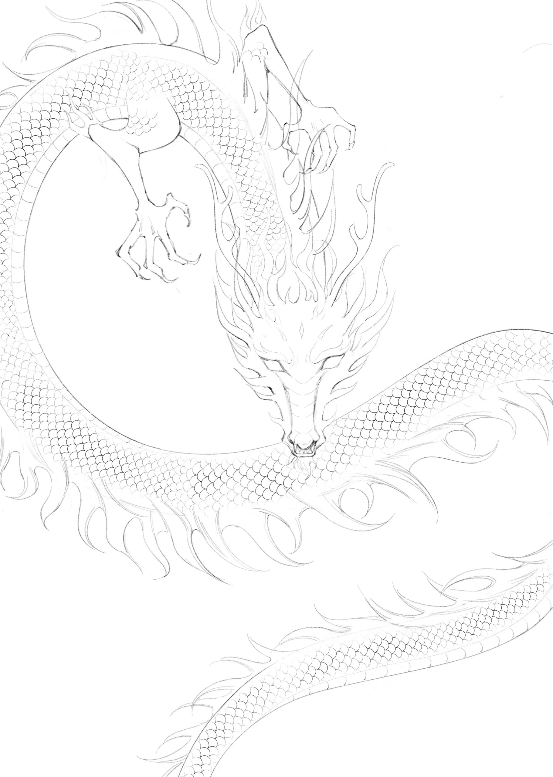 龙 终于大致戳了线稿