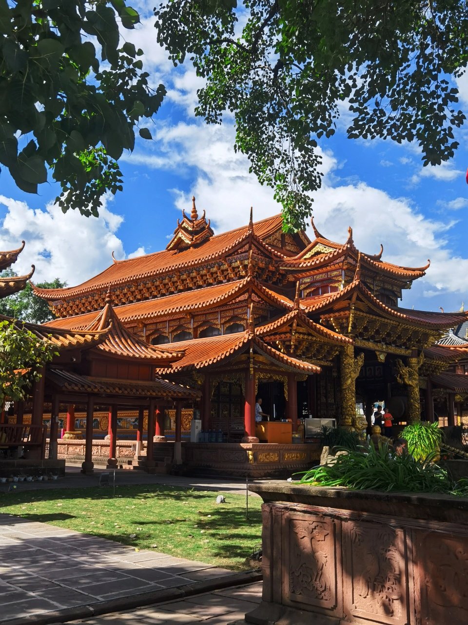 景谷国保之一:树包塔.塔包树