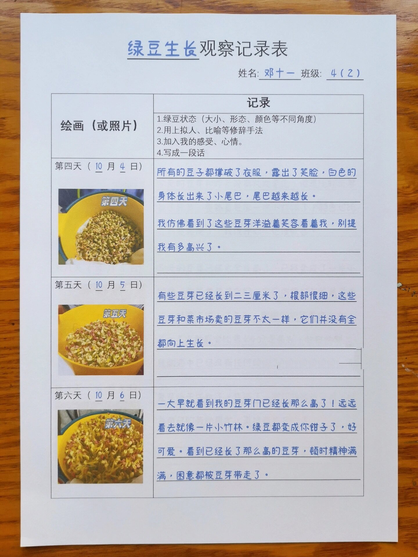 观察日记简单四年级(观察日记四年级范文15篇)