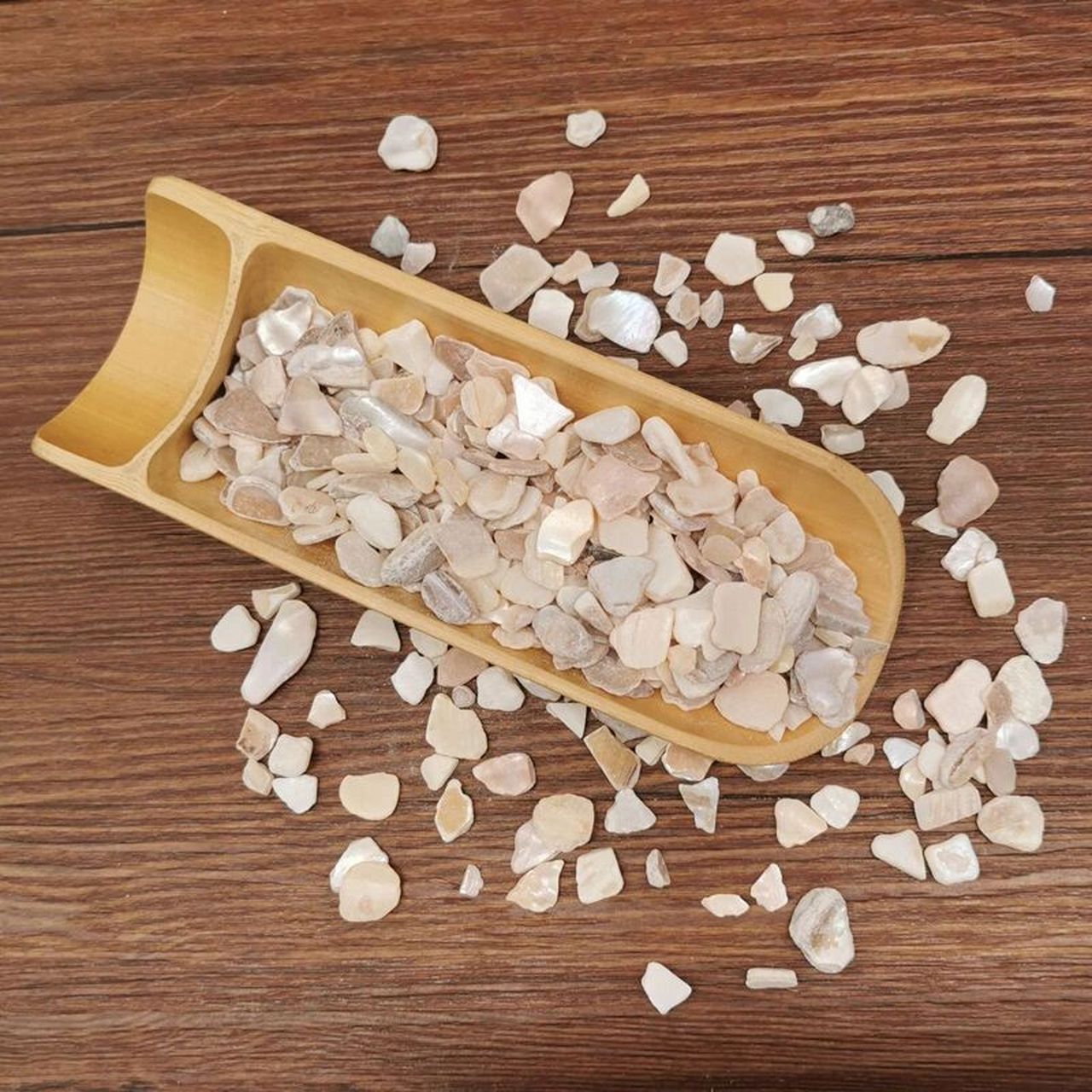 认识一味中药～珍珠母 抑制体内肝火,安定神志,提升视力.