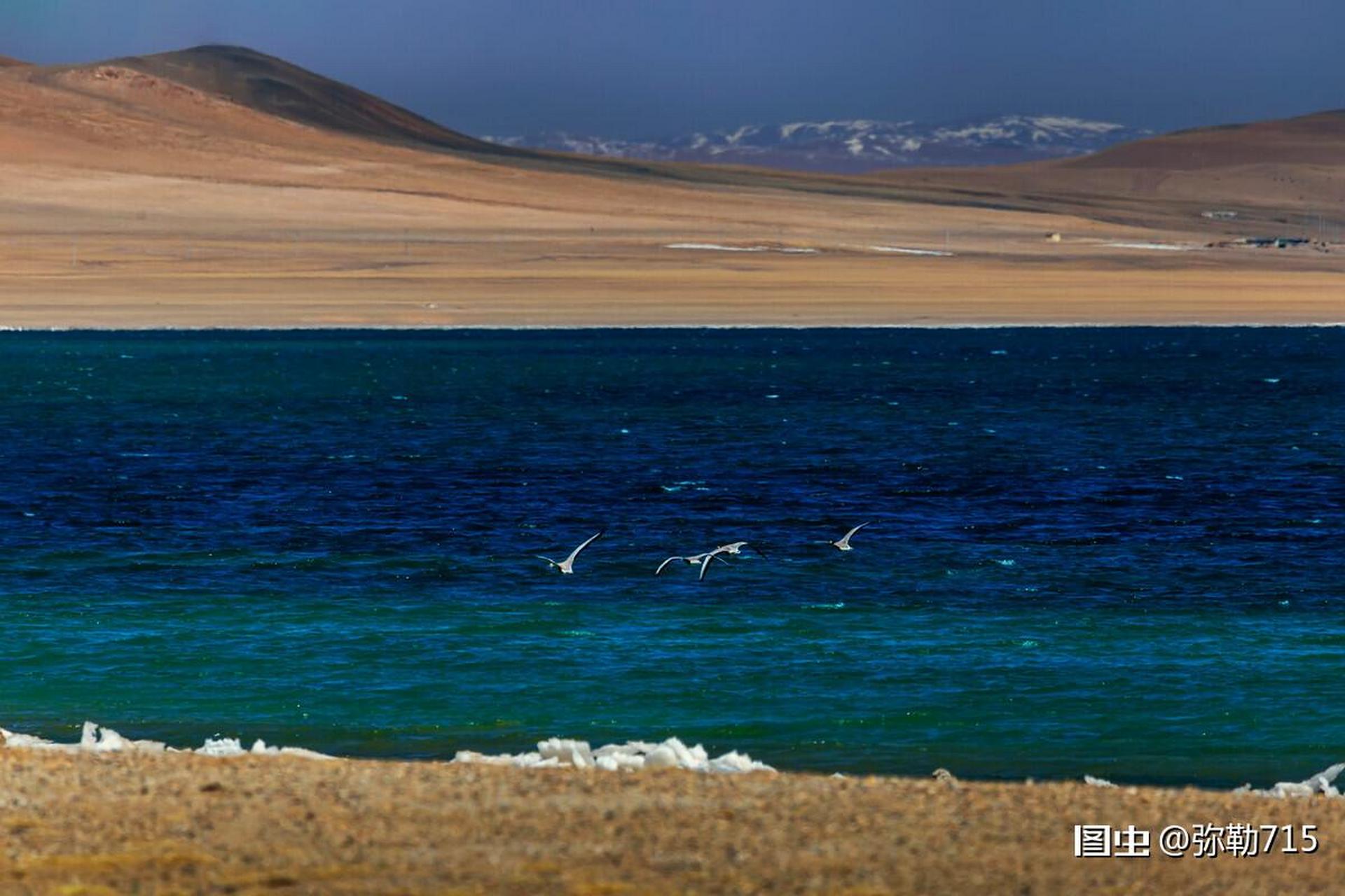 蓬措位于西藏那曲班戈县,就在317国道旁的北边,湖面海拔4500米左右