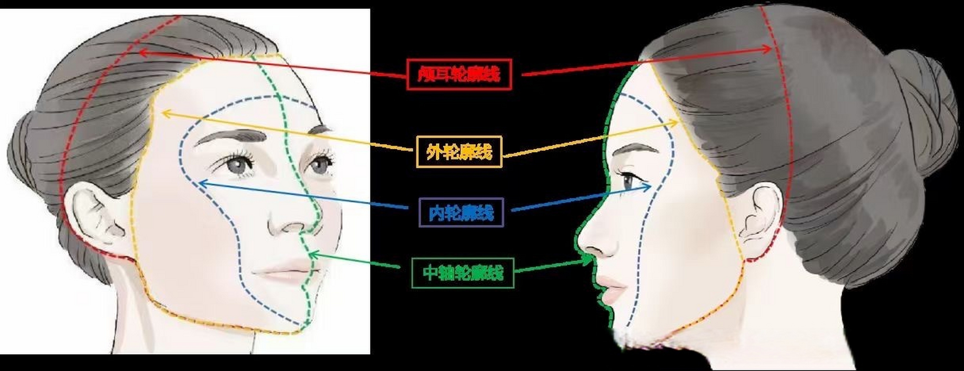 内轮廓线影响了面部在光线下的明暗对比,如何通过填充改变面部容梁屯