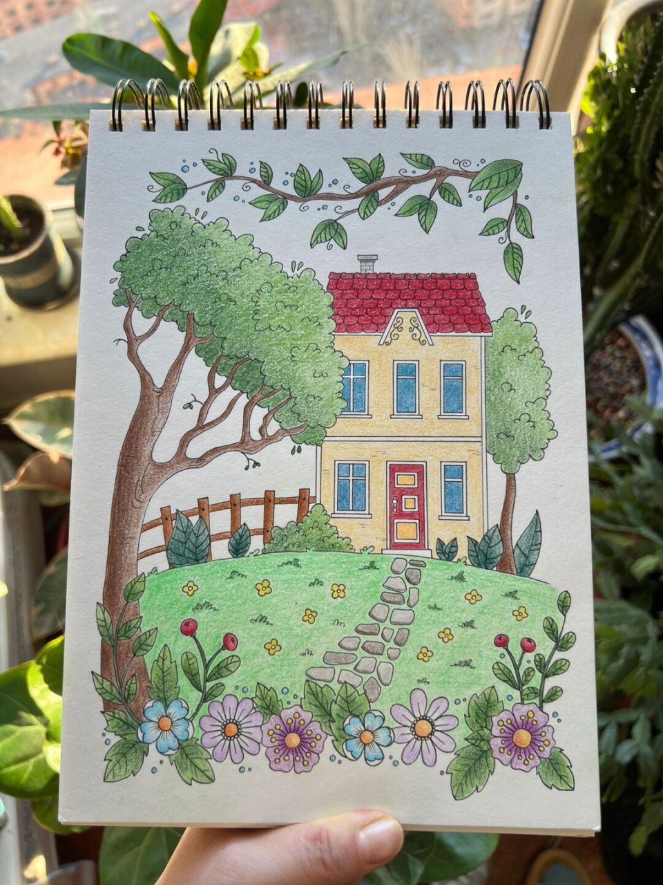 花园简笔画彩色 全图图片