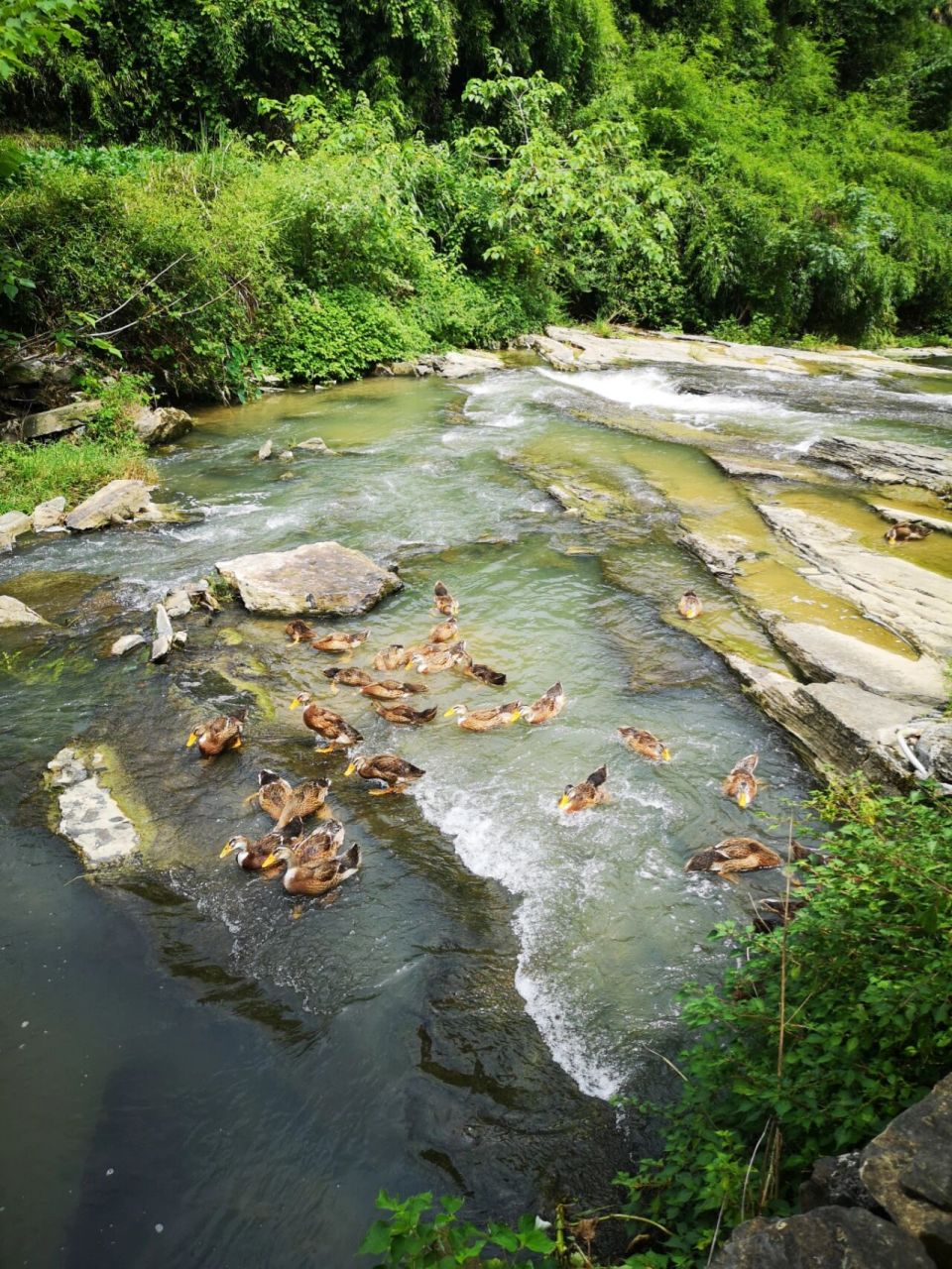 凤凰国家地质公园天龙峡景区 凤凰国家地质公园天龙峡景区,离凤凰古城
