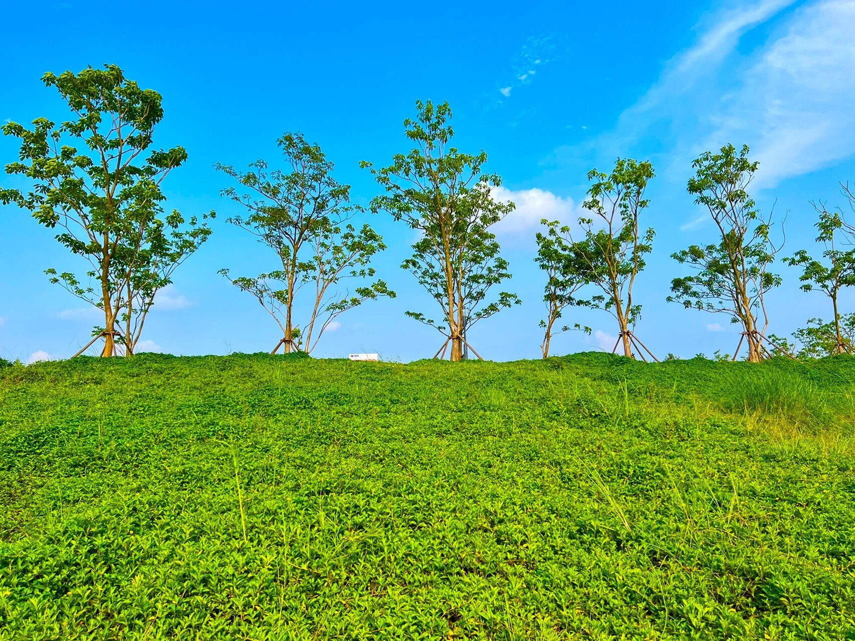 河源白鹭岛公园 从市区出发30分钟到达,位置在高新区.