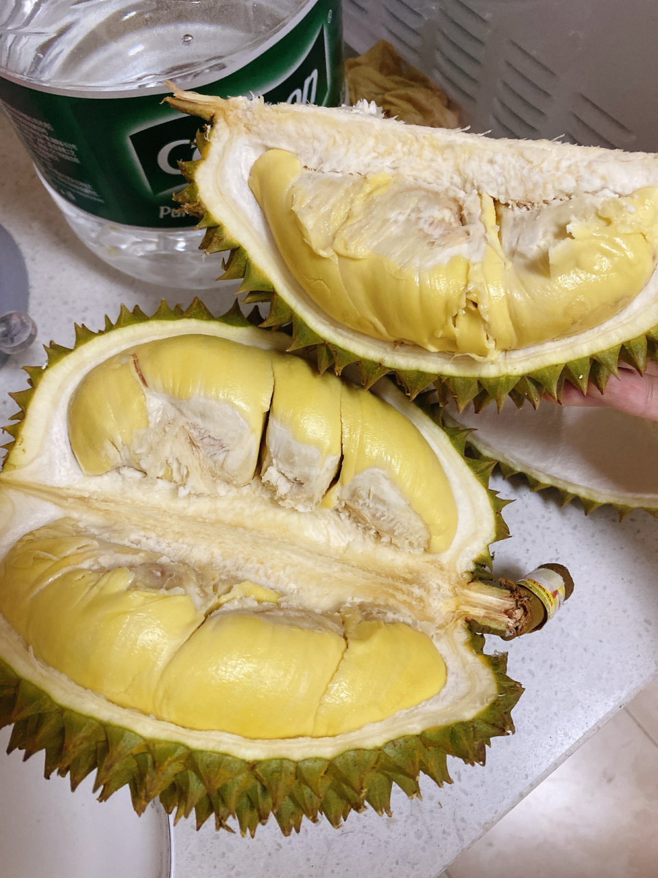 人生第一颗榴莲尖竹汶,是个懂事的榴莲!