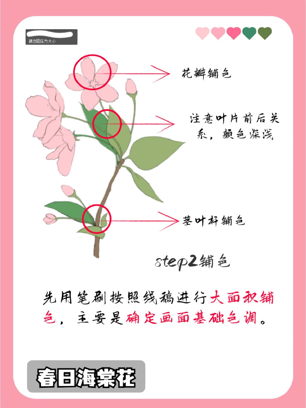 5步教你画海棠花,有手就行丨插画教程