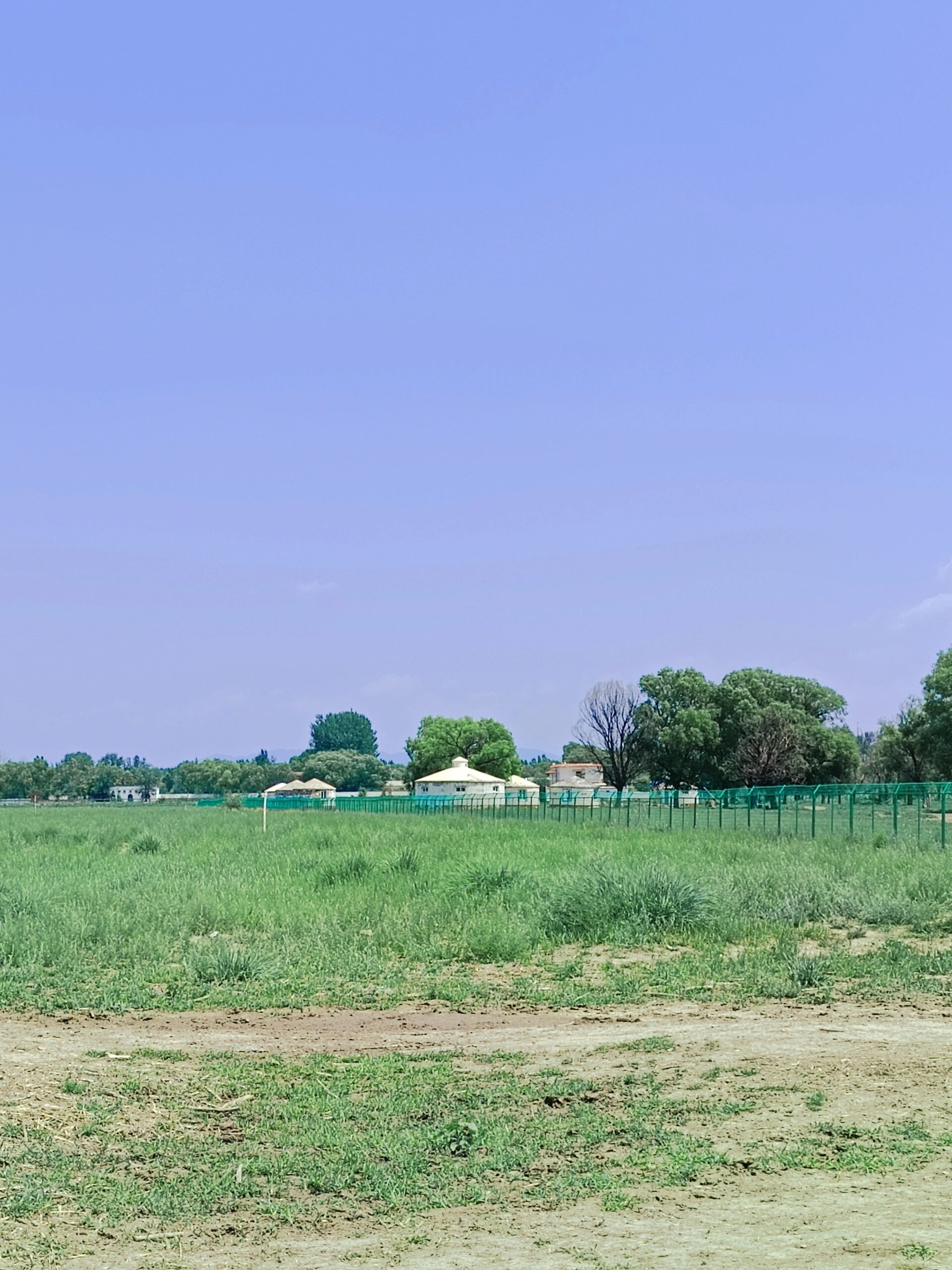 康西草原我来啦