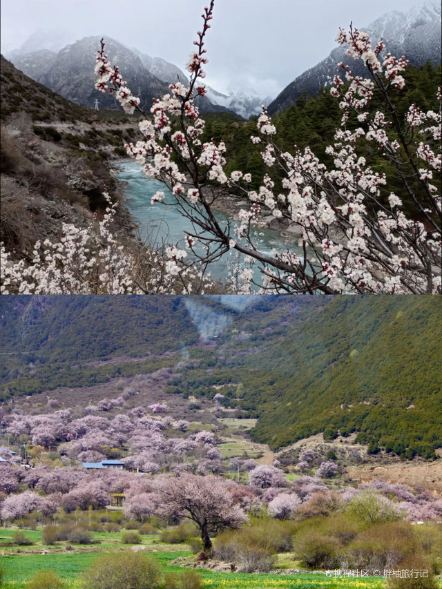 杜儿坪桃花沟图片