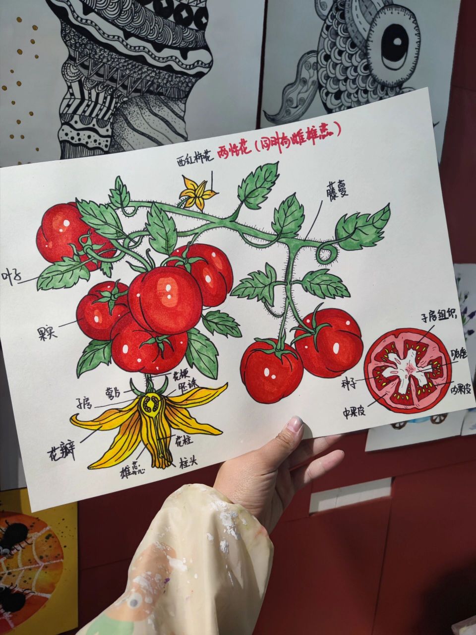 西红柿97 万物皆可画