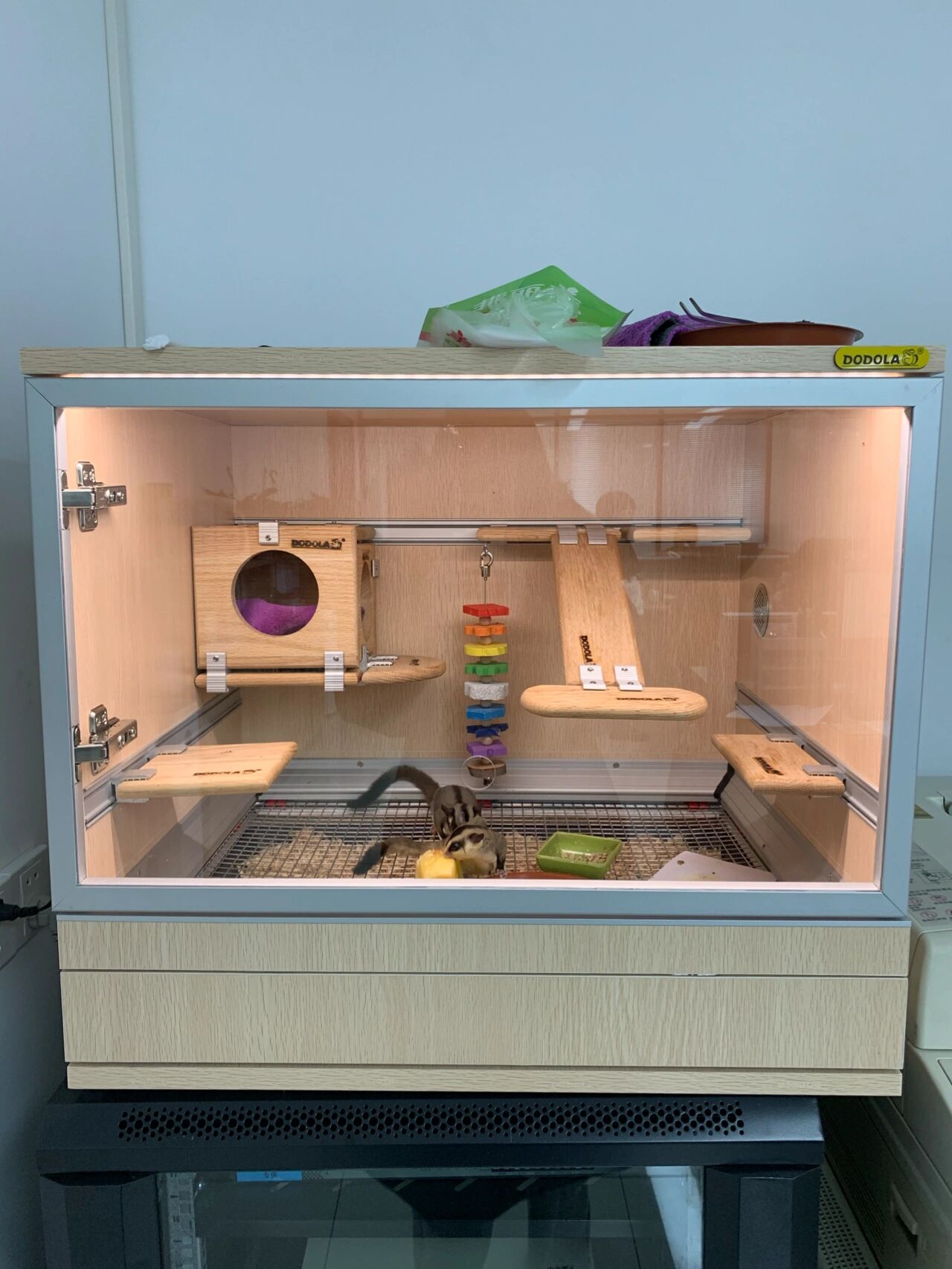 养芦丁鸡半年,6个鸡笼进化史,谈谈优缺点