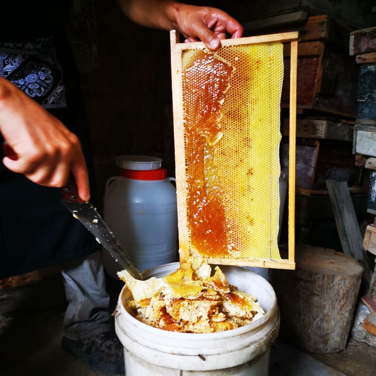 天然纯正深山悬崖蜜岩蜂蜜藏地药蜜 纯野生 无污染 高海拔 原生态野生