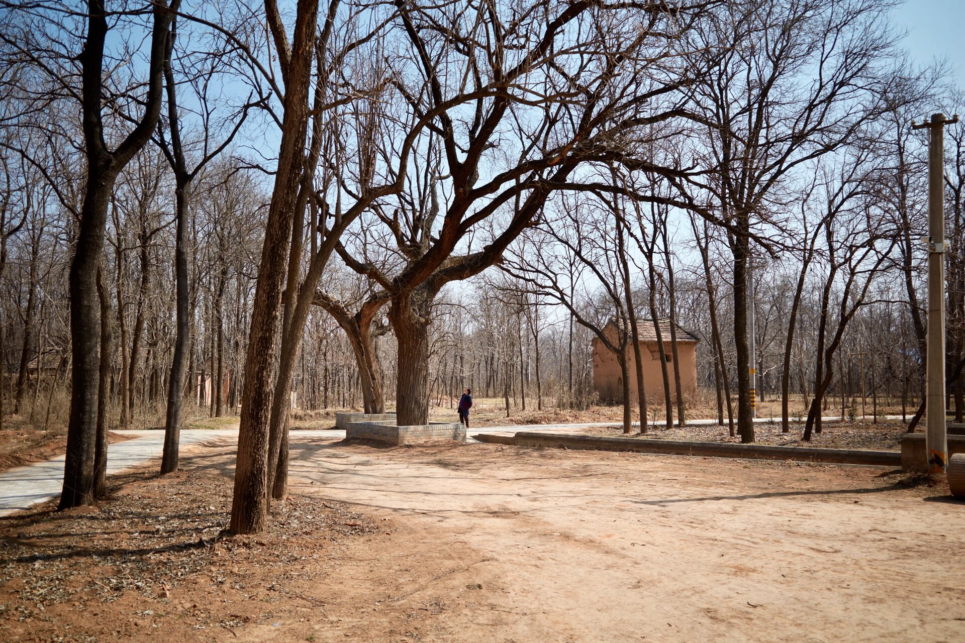 三原地坑村图片