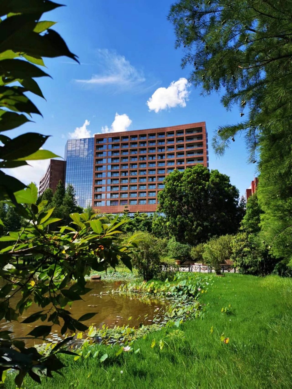 广州市黄埔区小众旅游景点——创业公园 创业公园位于广州市黄埔区