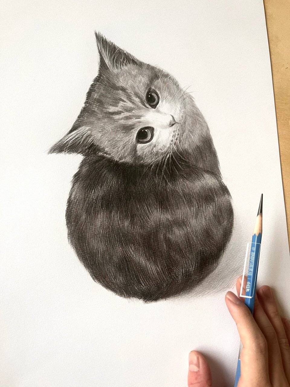 画一只可爱的小猫咪.素描步骤