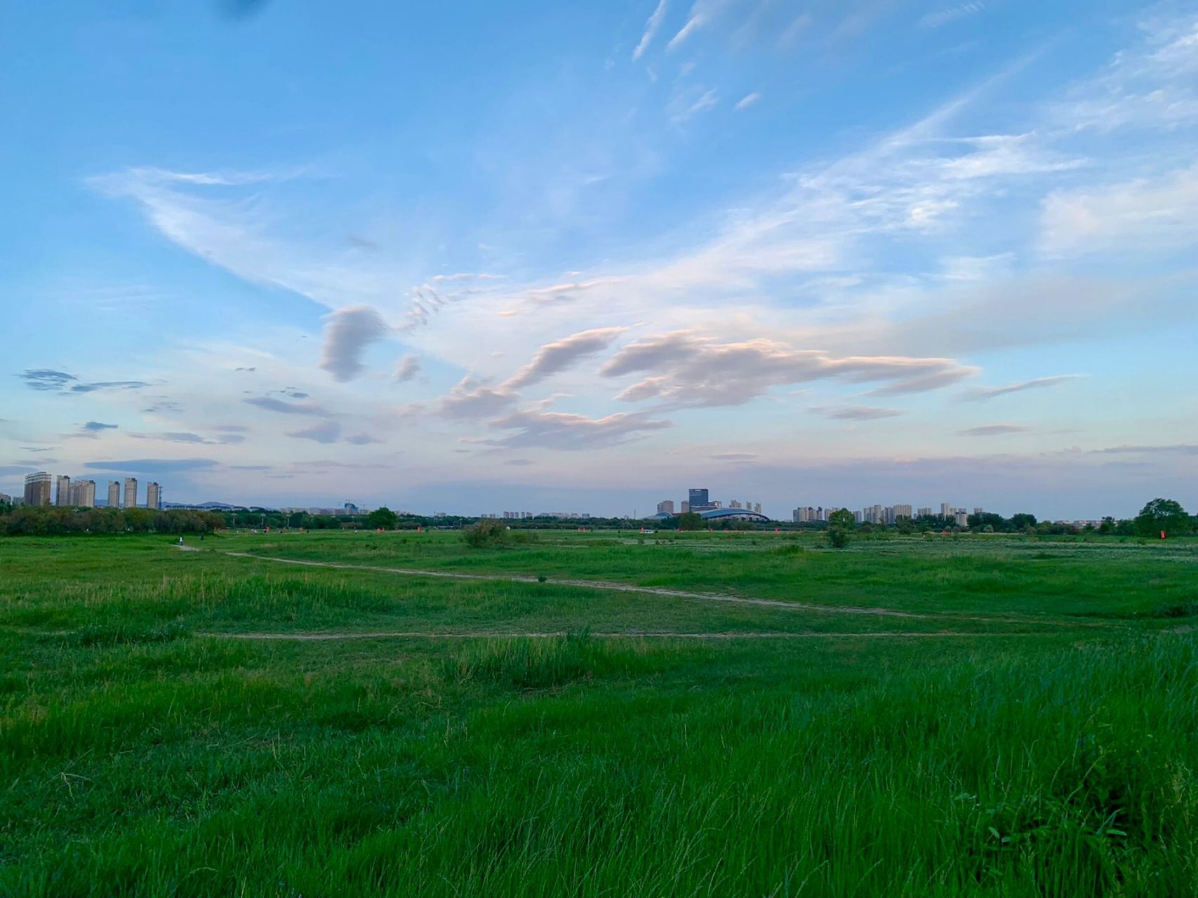 赛汗塔拉城中草原 真正的大草原都远离城市,时间成本较大,但是赛汗