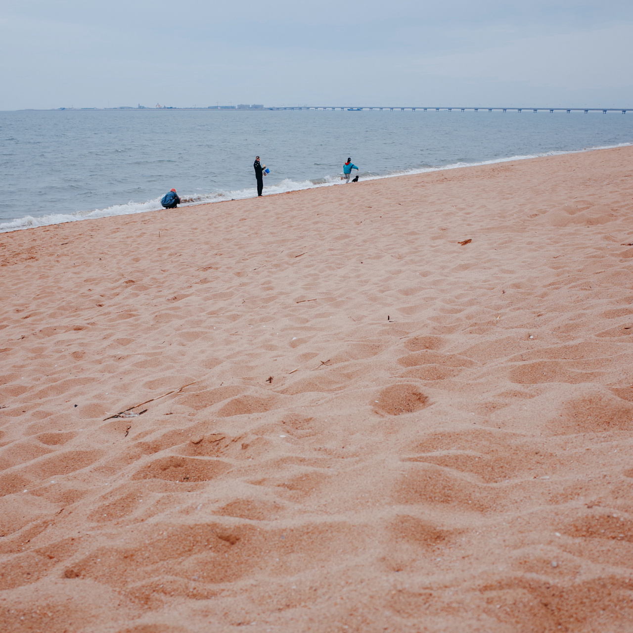 海阳打卡 | 避开汹涌人潮逛逛万米沙滩 为了躲避青岛可预见的人山人海