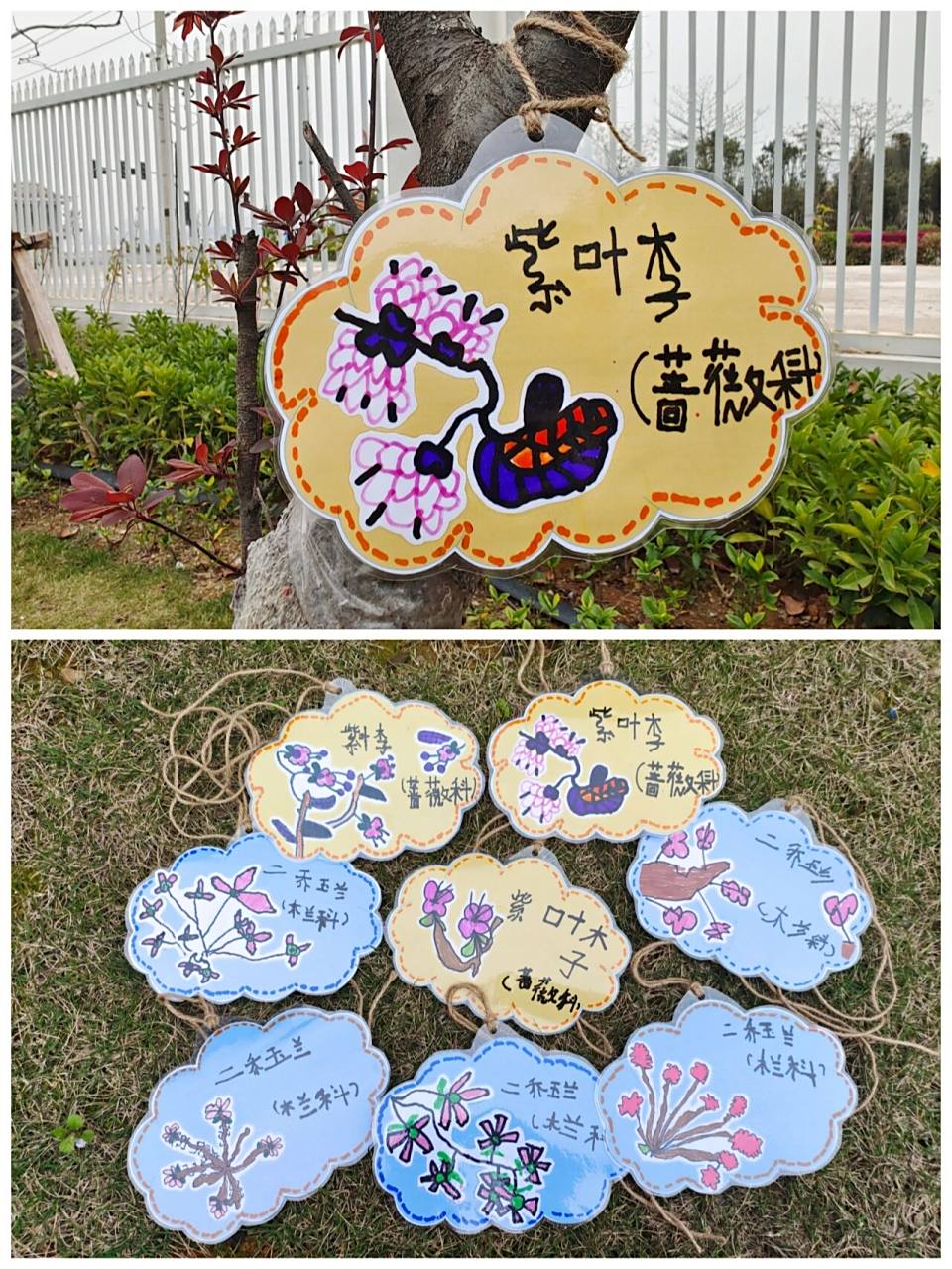 大班美术活动-制作小树牌98 99孩子们参观园里的小树,认识小树