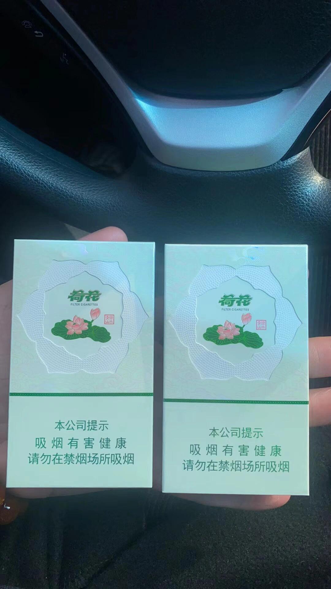 荷花绿水青山拿捏了