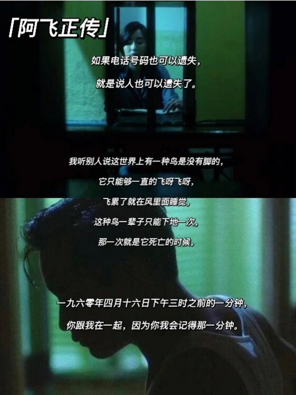 电影台词🌧|王家卫:个体孤独的艺术家 🥂 香港后现代主义导演