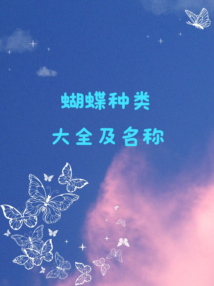 蝴蝶种类大全及名称 03箭环蝶.@花落莫想醉的动态