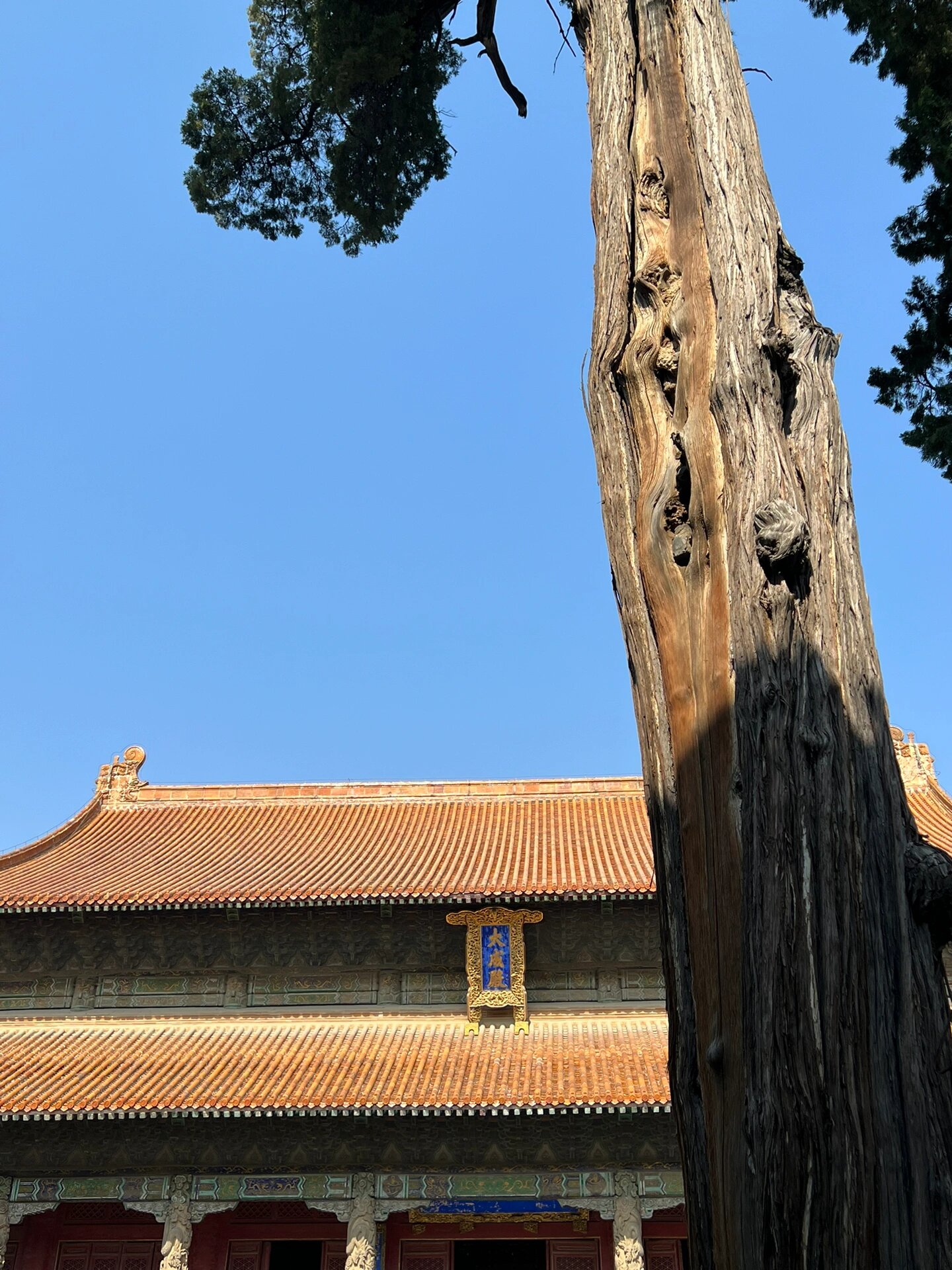 山东曲阜|孔庙 孔府 孔林