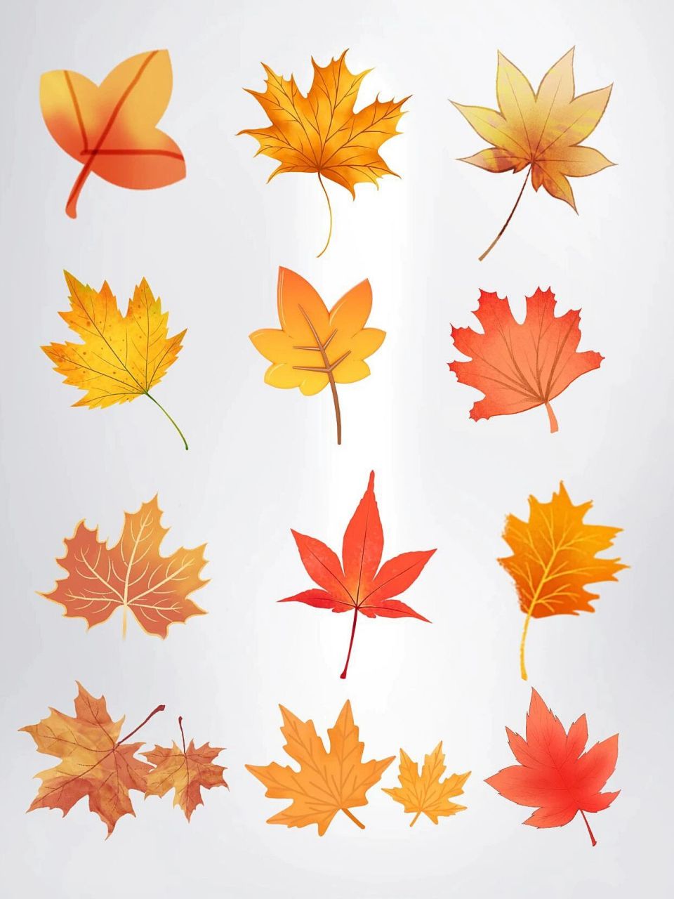 多彩枫叶银杏叶93绘画素材|png免扣元素 宝宝们, 一片落叶,一季秋