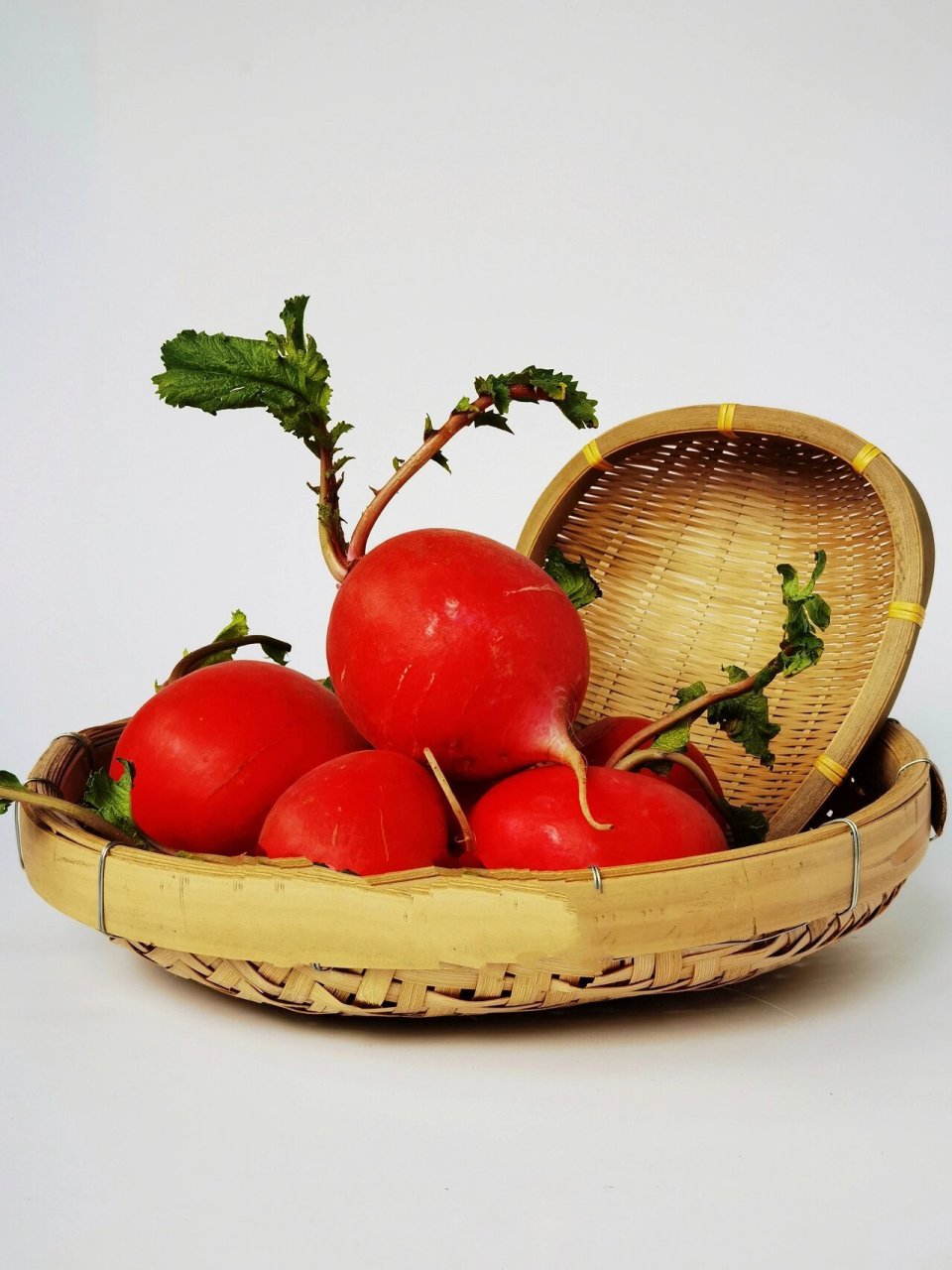 绘画素材/东北大红萝卜(静物白底图) 抵挡不住这东北大红萝卜颜值的