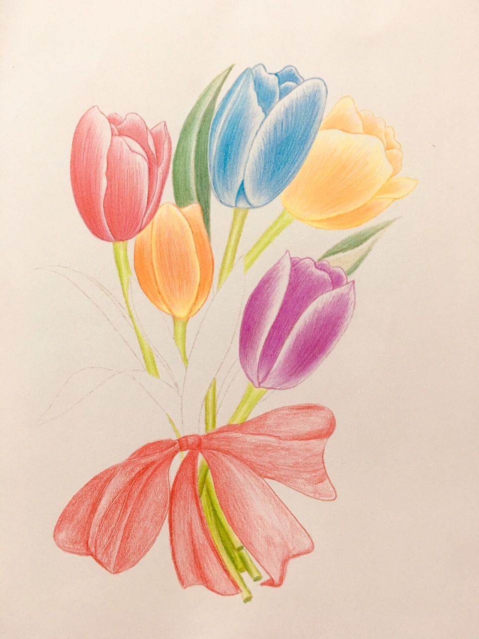 彩铅画自学-郁金香 很简单的涂色方法,对新手来说也很友好,把层次区分