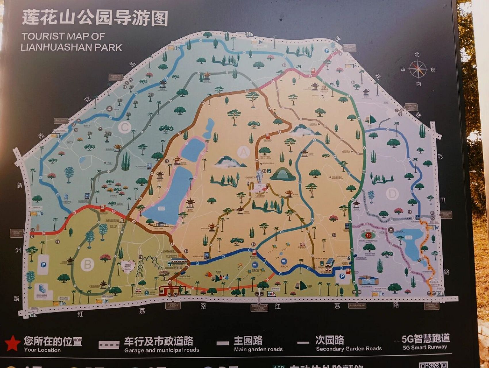 深圳莲花山公园旅游攻略  乘坐地铁014号线到少年宫地铁站d出口
