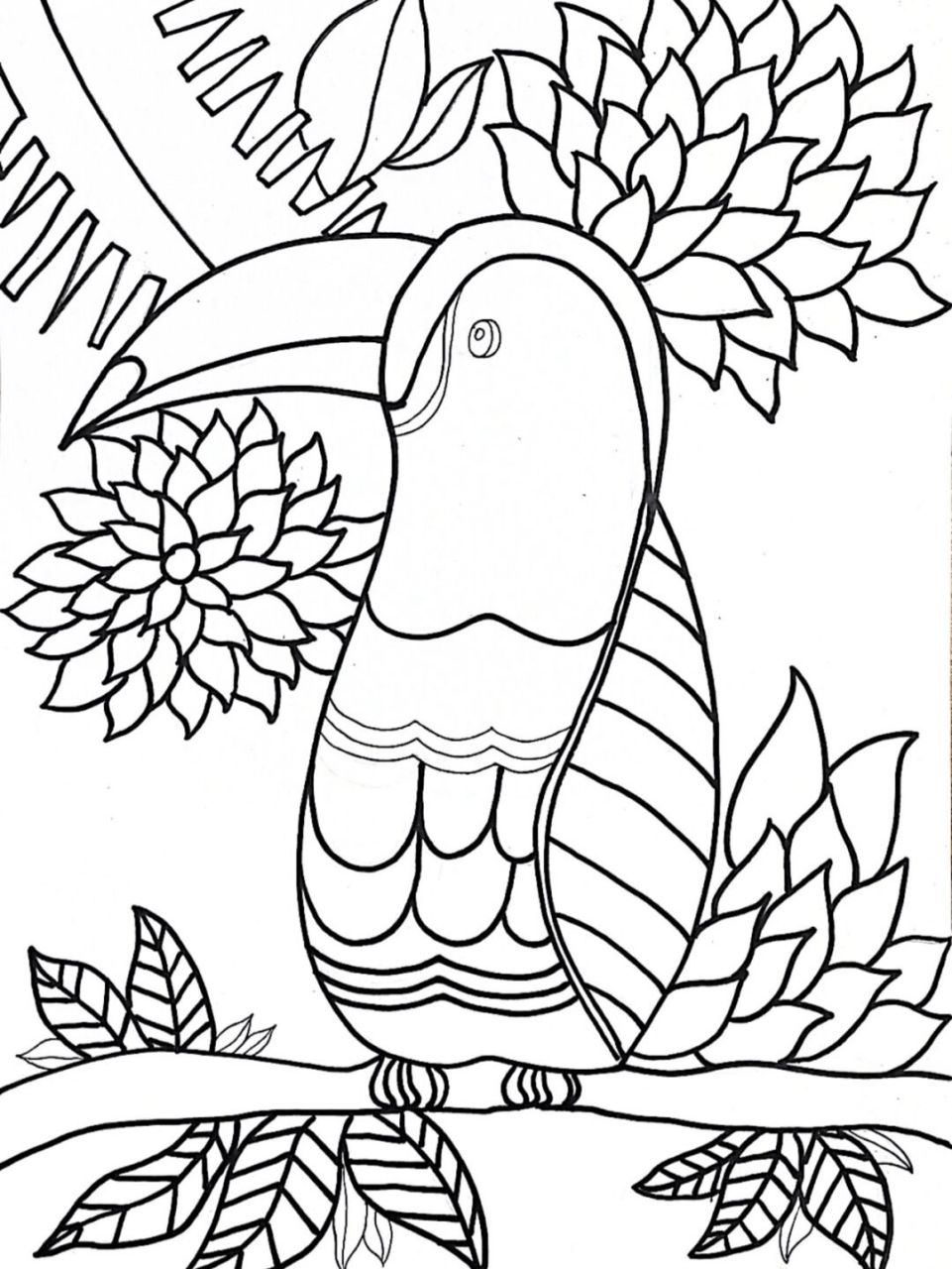 鹦鹉黑白线描画图片